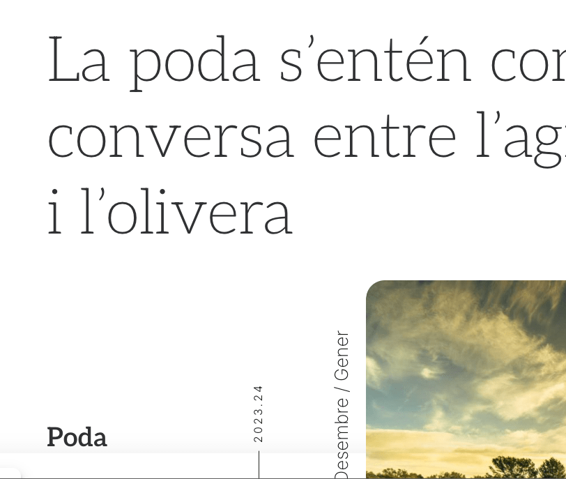 Oliduntemps 6 Captura de pantalla 2024 09 12 a las 16.15.03 Diseño y Mantenimiento WEB